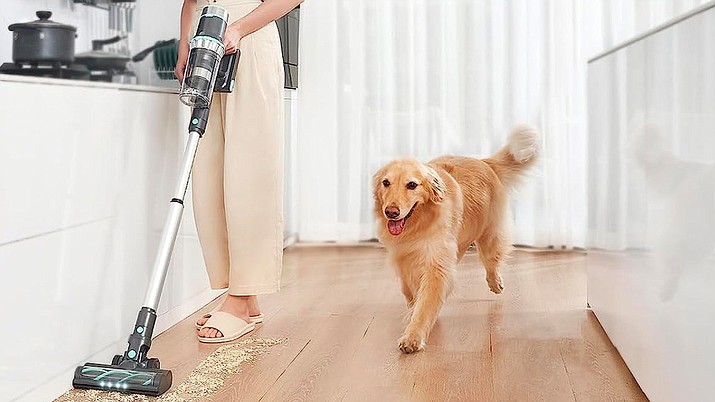 Breaking Down the Science of Suction: What Makes a Vacuum Cleaner Powerful?