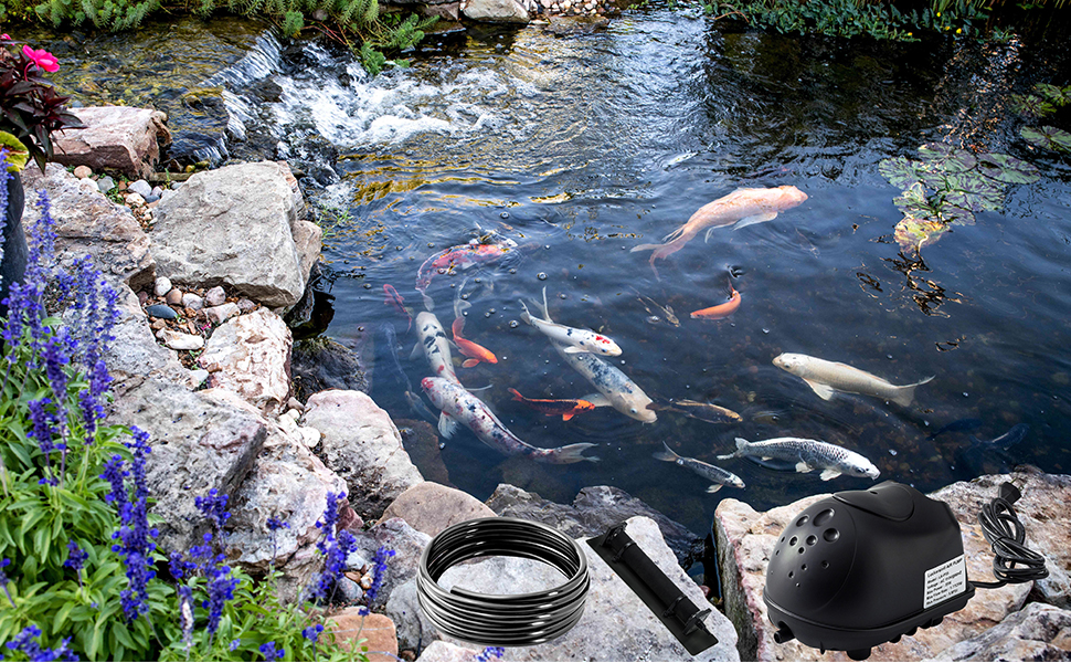 Quiet Pond Air Pump – Silent Aeration for a Healthier Pond